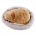 Breathing Barking Stuffed Animal Kitten Puppy Soft Plush Toy Kid Gift Home Decor   173381256338